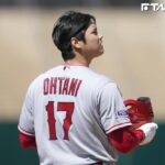 大谷翔平下季落腳何隊　美媒：道奇最熱門